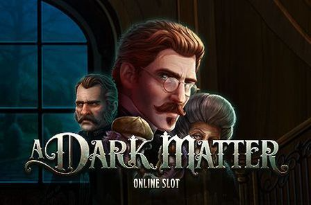 Dark Matter Mystery and Cosmic Spins